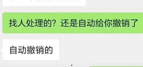 抖音肉肉526吃瓜爆料,吃瓜爆料背后的真相