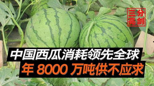 西安吃瓜爆料是真的吗,真相还是谣言？