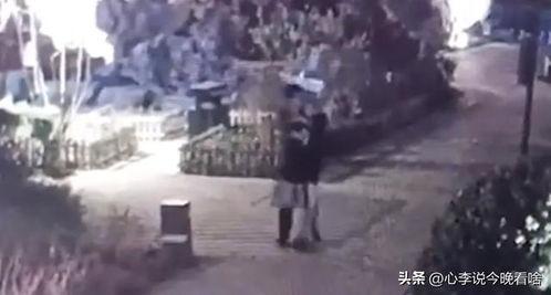 南充吃瓜爆料事件视频曝光,视频曝光事件真相揭秘