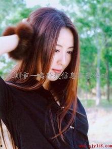 东莞明星网红,璀璨星河中的璀璨明珠