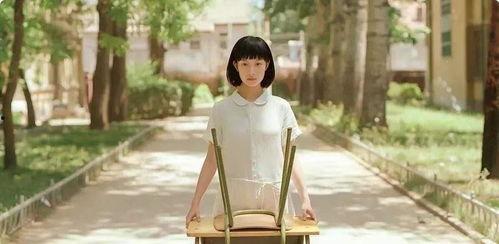 明星网红泛滥,流量背后的深思与反思