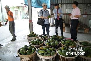 长春吃瓜最新事件爆料新闻,揭秘最新爆料背后的真相与争议