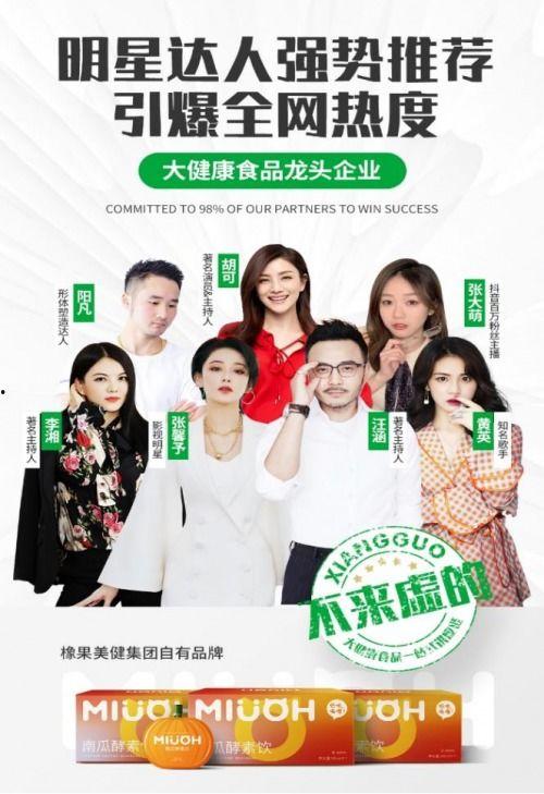 明星网红网站,流量密码与粉丝经济的崛起