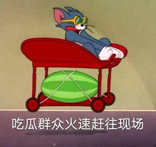 娱乐圈吃瓜爆料龚俊,揭秘明星背后的真相与争议