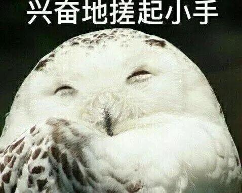 吃瓜爆料找小王秃崽,揭秘小王秃崽的真实面目
