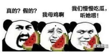 吃瓜哥往期爆料图片大全,往期爆料图片大全大汇总
