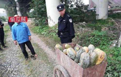 大荔吃瓜最新事件爆料视频