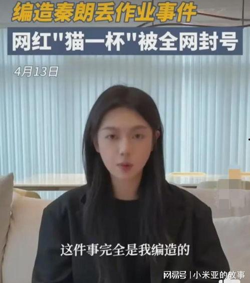 明星网红调查,揭秘网络红人的崛起与影响力