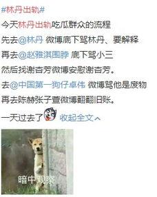 最新出轨吃瓜爆料图片高清,高清图片揭露惊人真相