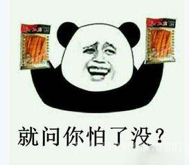 爆料吃瓜道歉的句子搞笑,笑料百出，一场网络狂欢的喜剧盛宴！