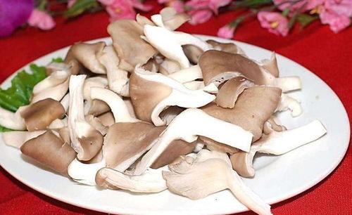 吃瓜爆料黑料蘑菇视频大全,吃瓜爆料，蘑菇视频大全大揭秘