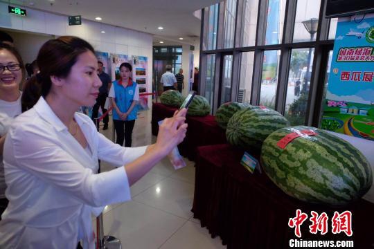 澧县吃瓜最新事件爆料新闻,揭秘当地最新热点舆情动态