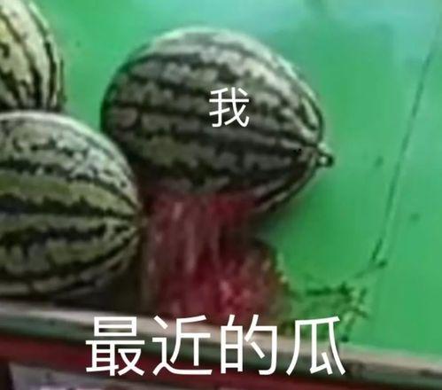 八卦爆料在线吃瓜325,揭秘“在线吃瓜325”背后的热点事件