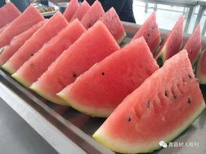 青县吃瓜最新事件爆料,揭秘背后惊人真相