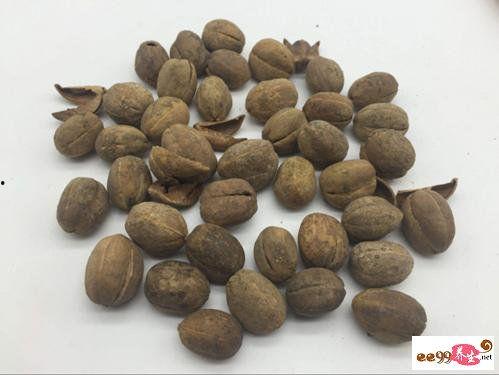 吃瓜爆料小巴豆怎么做,独家爆料背后的故事