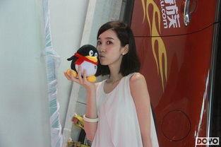 dnf明星网红,揭秘游戏界璀璨明星的闪耀时刻