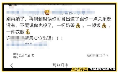 饭圈爆料吃瓜复盘,揭秘娱乐圈幕后真相