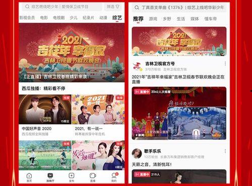 最新吃瓜爆料每日头条视频,每日头条视频深度解析