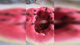 七夕节吃瓜爆料,明星恋情大揭秘