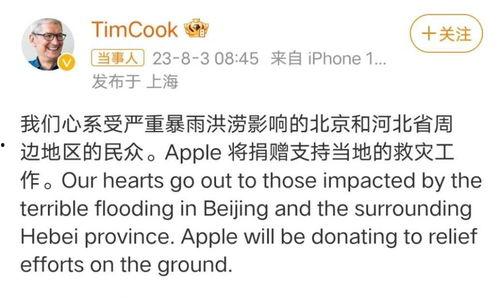 明星网红近义词,明星网红风采各异