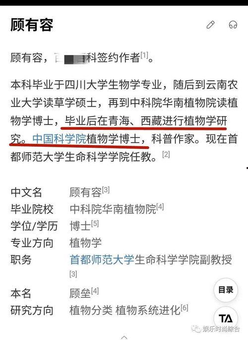 明星网红近义词,明星网红风采各异
