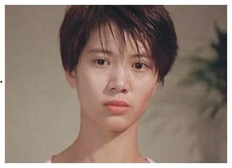 明星网红父母,明星网红父母的育儿经