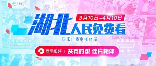 吃瓜爆料封面素材视频大全,封面素材视频大全大揭秘