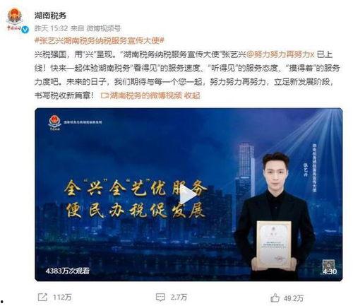 明星网红交税,揭秘高收入者的纳税真相