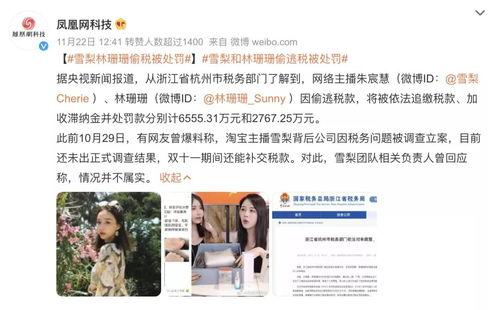 明星网红交税,揭秘高收入者的纳税真相