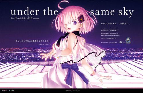 猫的次元吃瓜爆料fgo,揭秘Fate/Grand Order背后的神秘故事