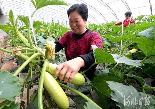 永年产业城吃瓜视频爆料,背后惊人真相曝光