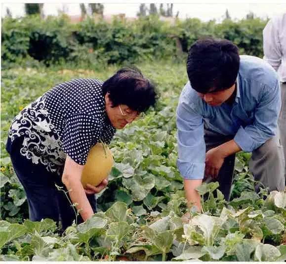 永年产业城吃瓜视频爆料,背后惊人真相曝光