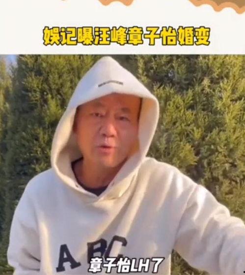 汪峰吃瓜爆料视频大全集,吃瓜爆料视频大全集