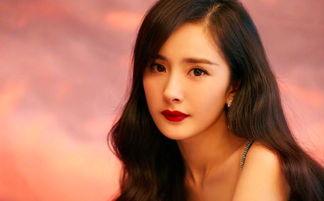 明星网红比例,网络时代的新星崛起之路