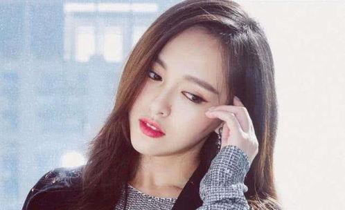 呼市明星网红,明星级影响力人物盘点”