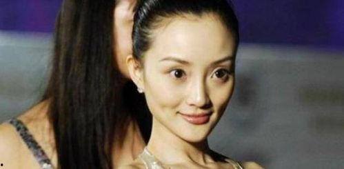 电影明星网红明星,电影明星与网红明星的璀璨对决