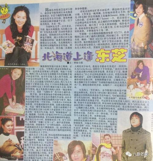 娱乐圈吃瓜写手