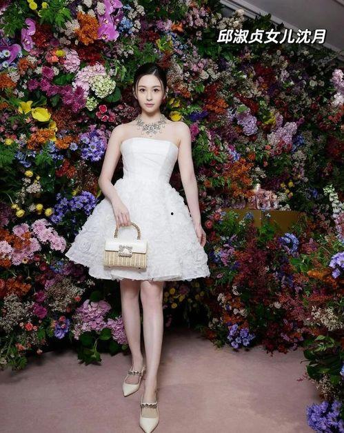 名媛明星网红,闪耀娱乐圈的璀璨星河