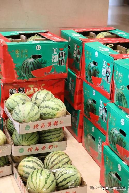 澧县吃瓜最新事件爆料视频,最新爆料视频揭秘惊人内幕