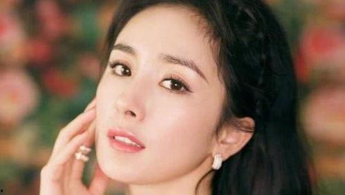 知名明星网红,共创时尚潮流新篇章