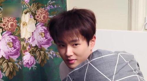 吃瓜爆料博主范丞丞,揭秘娱乐圈背后的惊人真相