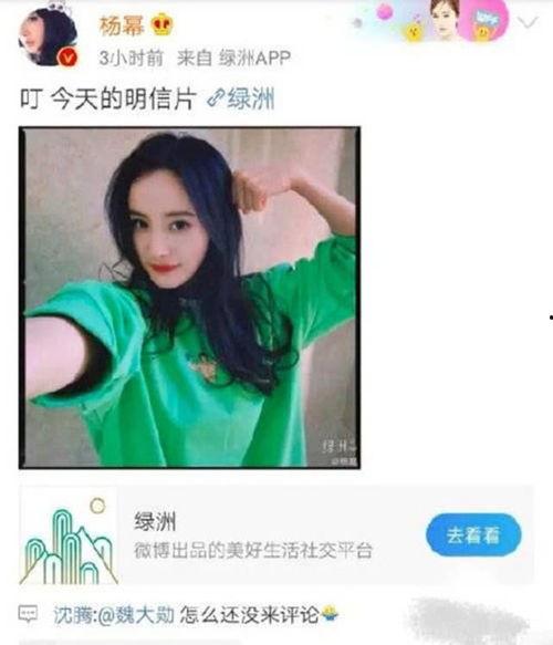 沈腾爆料吃瓜事件视频播放,揭秘娱乐圈幕后真相