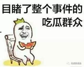 我爆料你吃瓜全员读,爆料、吃瓜、全员读背后的故事