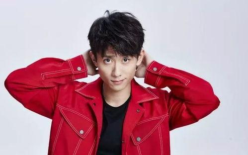 明星网红洋洋,闪耀娱乐圈的璀璨新星