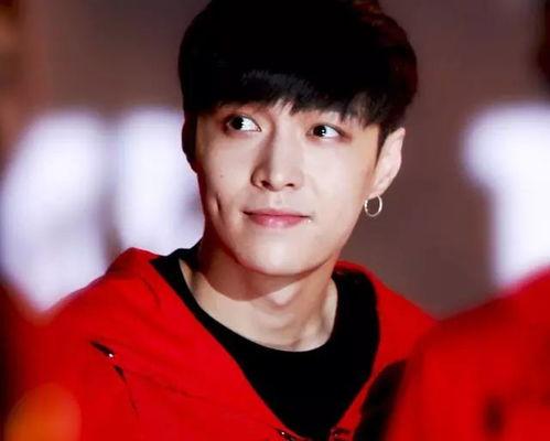 明星网红洋洋,闪耀娱乐圈的璀璨新星