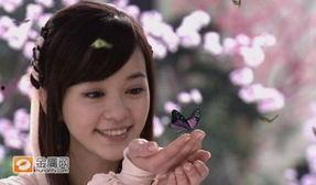 明星网红前世,明星网红的前世传奇揭秘