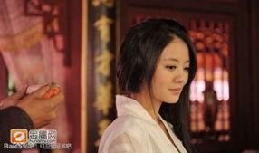 明星网红前世,明星网红的前世传奇揭秘