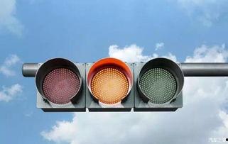 红棕发明星网红