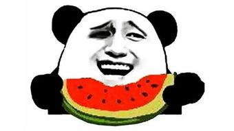 吃瓜爆料小学生图片搞笑,小学生搞笑爆料瞬间