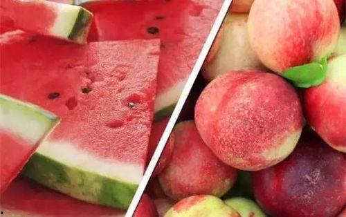 吃瓜爆料17c蘑菇招商,揭秘绿色产业新风口